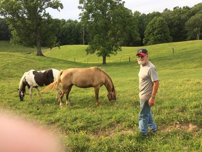 Etown Horse 2