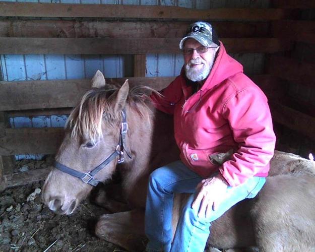 Etown Horse 3
