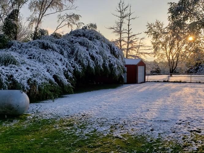 Snow in Henryville.jpg