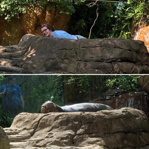 Zookeeper unknown animal.jpg