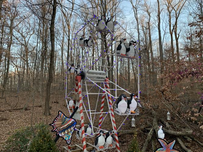 Winter Woods Spectacular (25).JPG