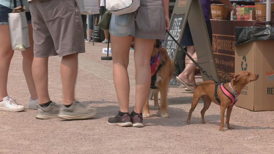 WAGGIN TAIL WATERFRONT (1).jpeg