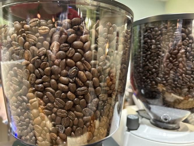 The Adventurer's Grind Coffee Co.