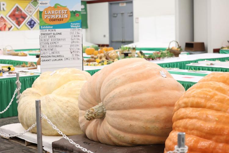 Pumpkins at the Kentucky State Fair