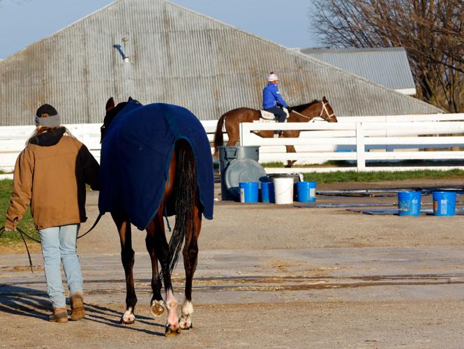 Scenics, 2022 Keeneland Spring Meet