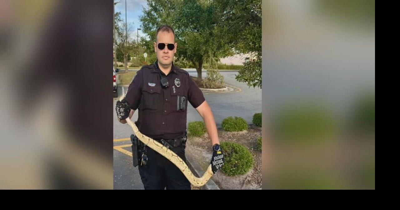 North Carolina police called to Chili's parking lot after python