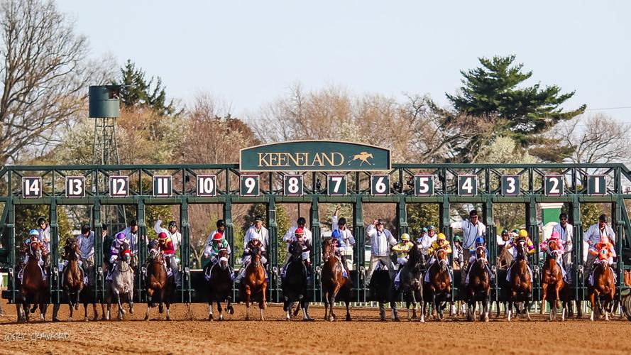 2019 Blue Grass Stakes