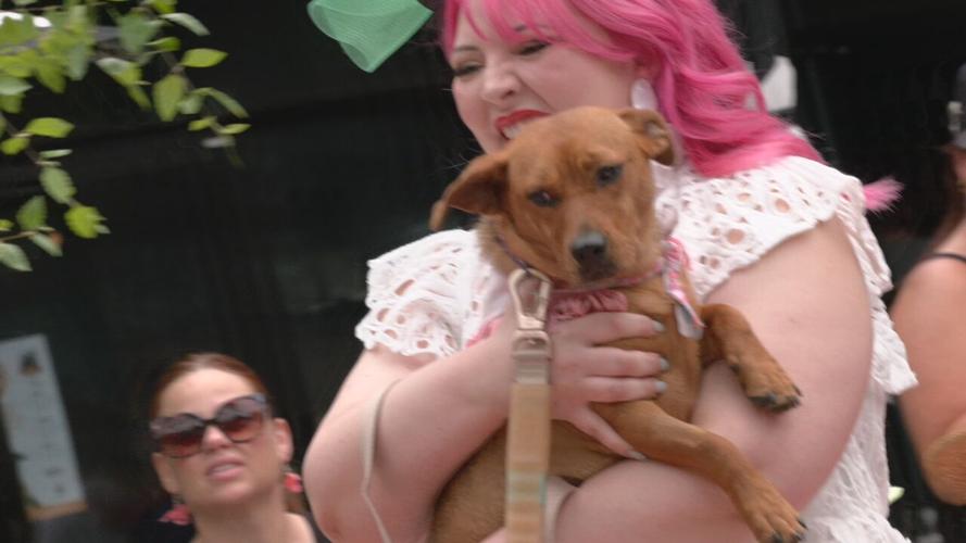 RESCUES AND ROSES (3).jpeg