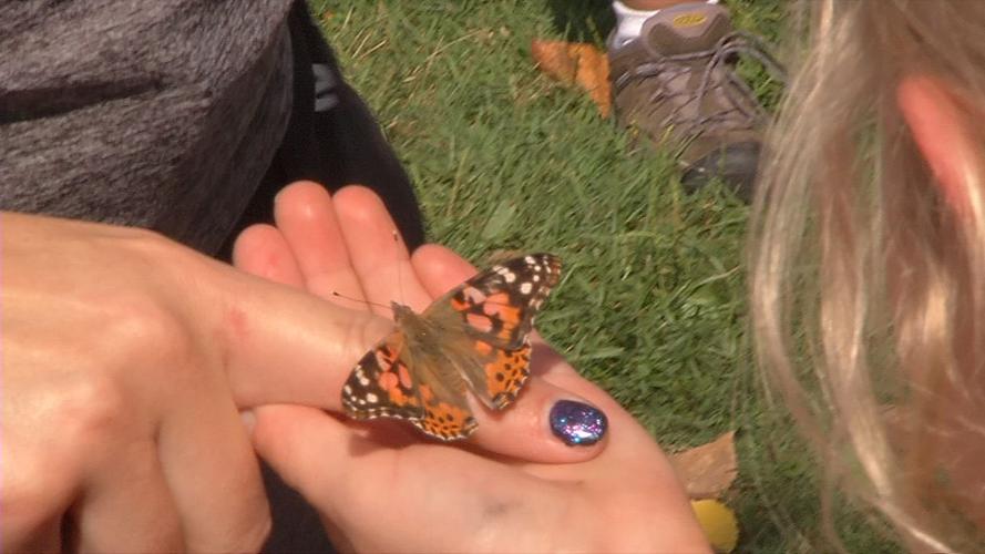 MONARCH FESTIVAL 10VO.transfer_frame_561.jpg