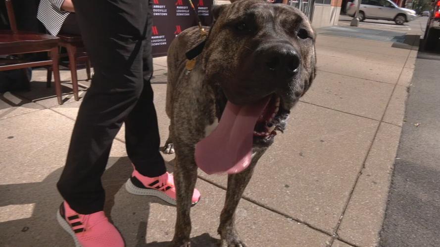 Ethan Hometown Hero banner unveiled 9-13-23