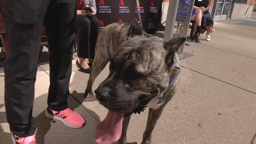 Ethan Hometown Hero banner unveiled 9-13-23