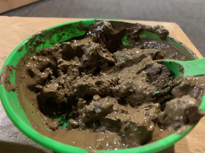 ColorFest at Bernheim Forest - Mud.jpeg