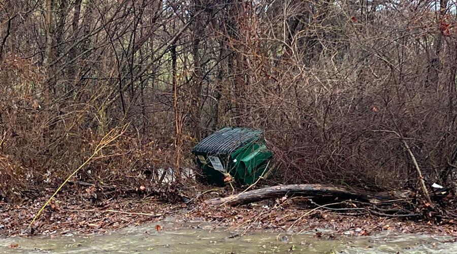 A dumpster, presumably moved by high waters, among brush in the Zoneton neighborhood in Shepherdsville