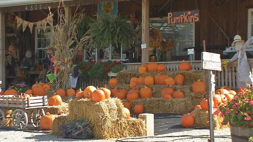 Country Corner Greenhouse closes 2.jpg