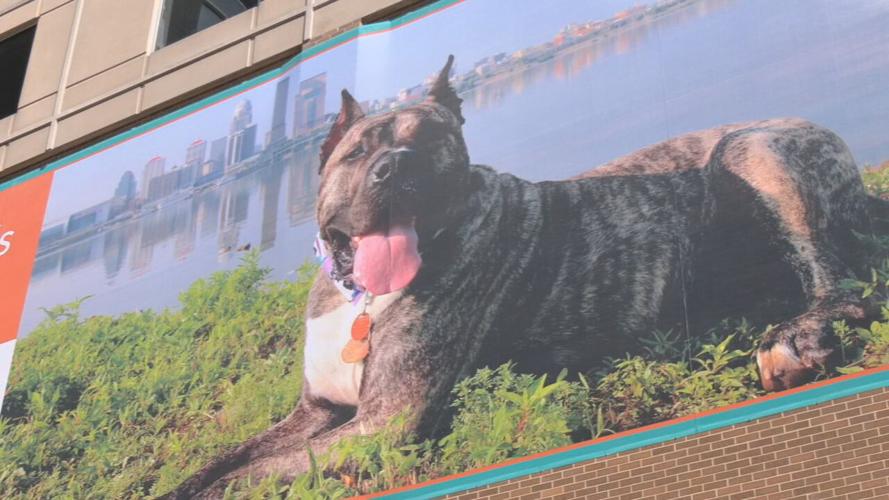 Ethan Hometown Hero banner unveiled 9-13-23