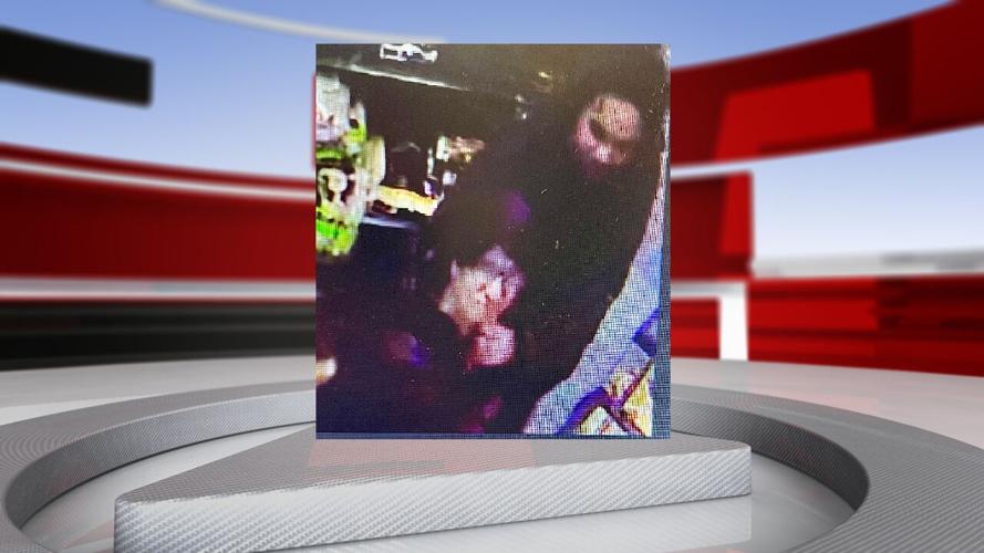 Monkey tail skink Lexington.png