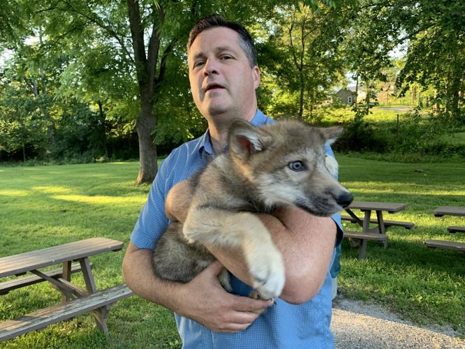 Wilstem Wildlife Park (39).JPG