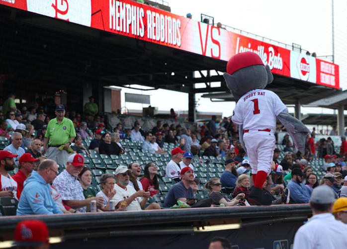 The crowd cheers for Buddy Bat.JPG