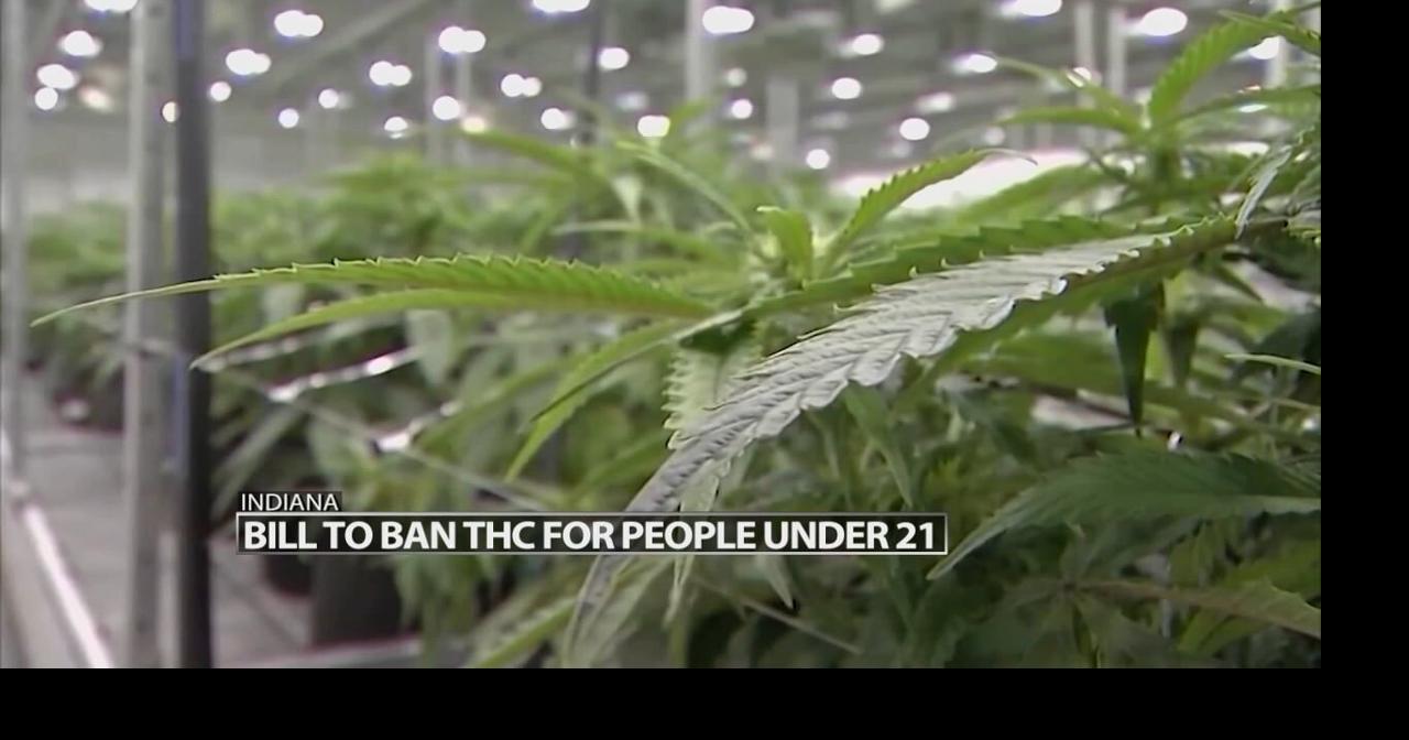 Indiana Senate passes bill tightening hemp and THC regulations