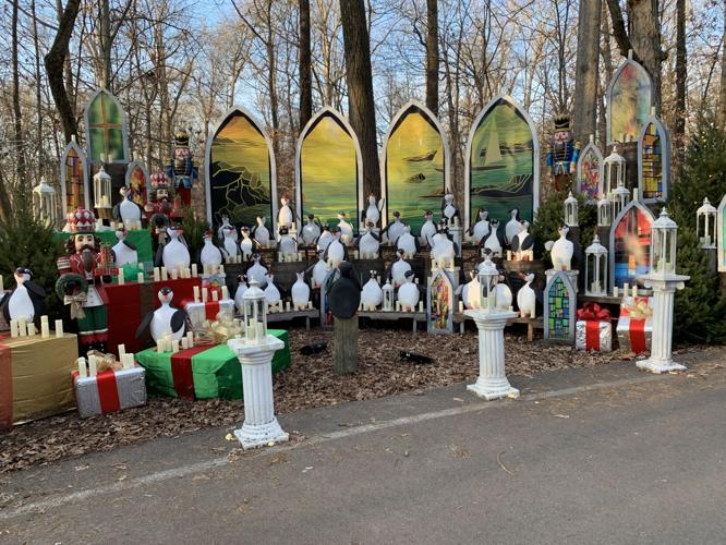 Winter Woods Spectacular (26).JPG