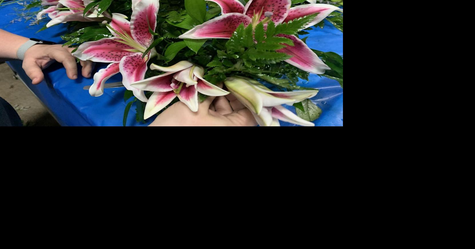 WATCH LIVE Kroger workers, volunteers make Kentucky Oaks Garland of