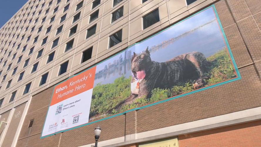 Ethan Hometown Hero banner unveiled 9-13-23