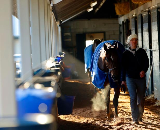 Scenics, 2022 Keeneland Spring Meet