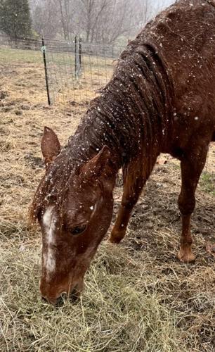 wx11222024 Cathy Cress.jpg