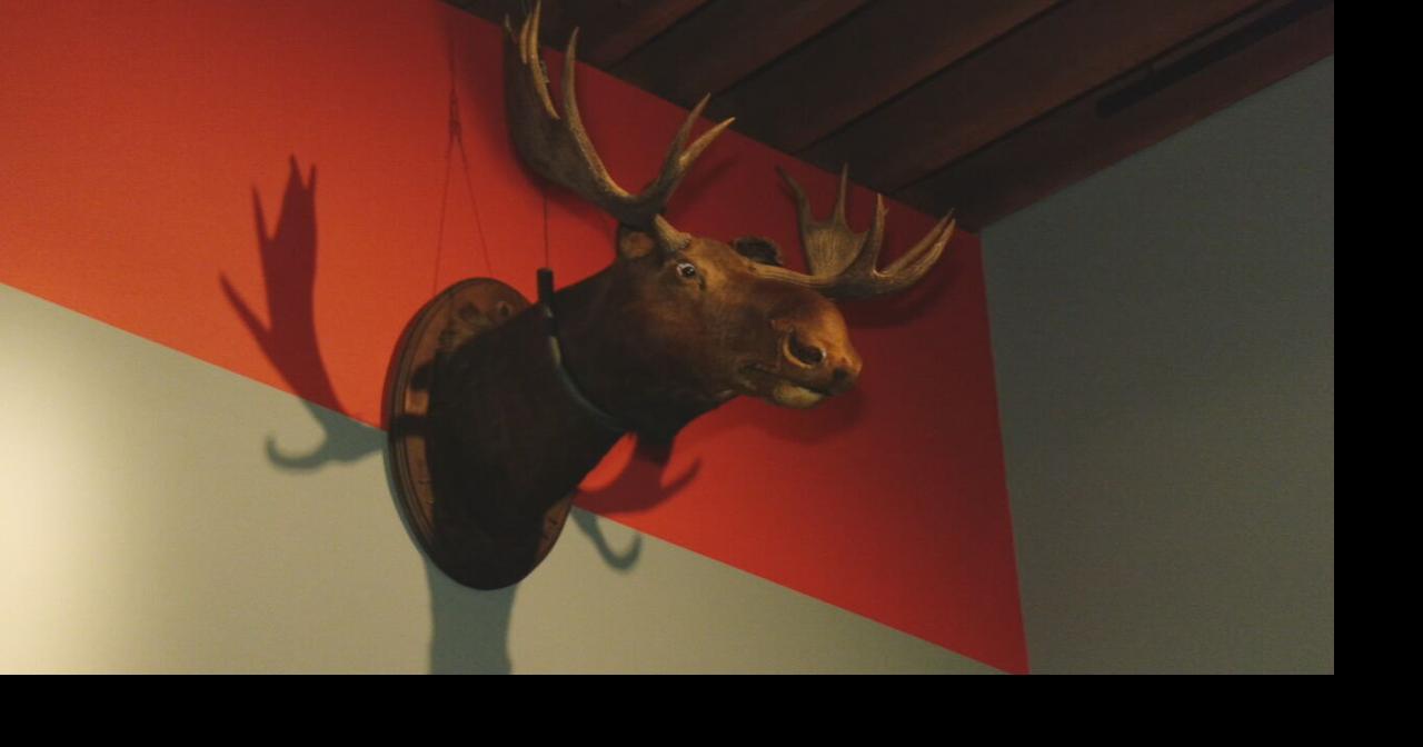 Iconic moose head from Phoenix Hill Tavern now part of exhibit at Frazier...