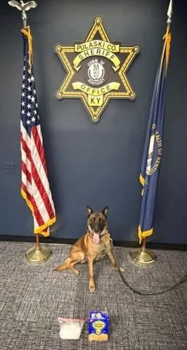 K9 Rocky with meth and graham cracker box