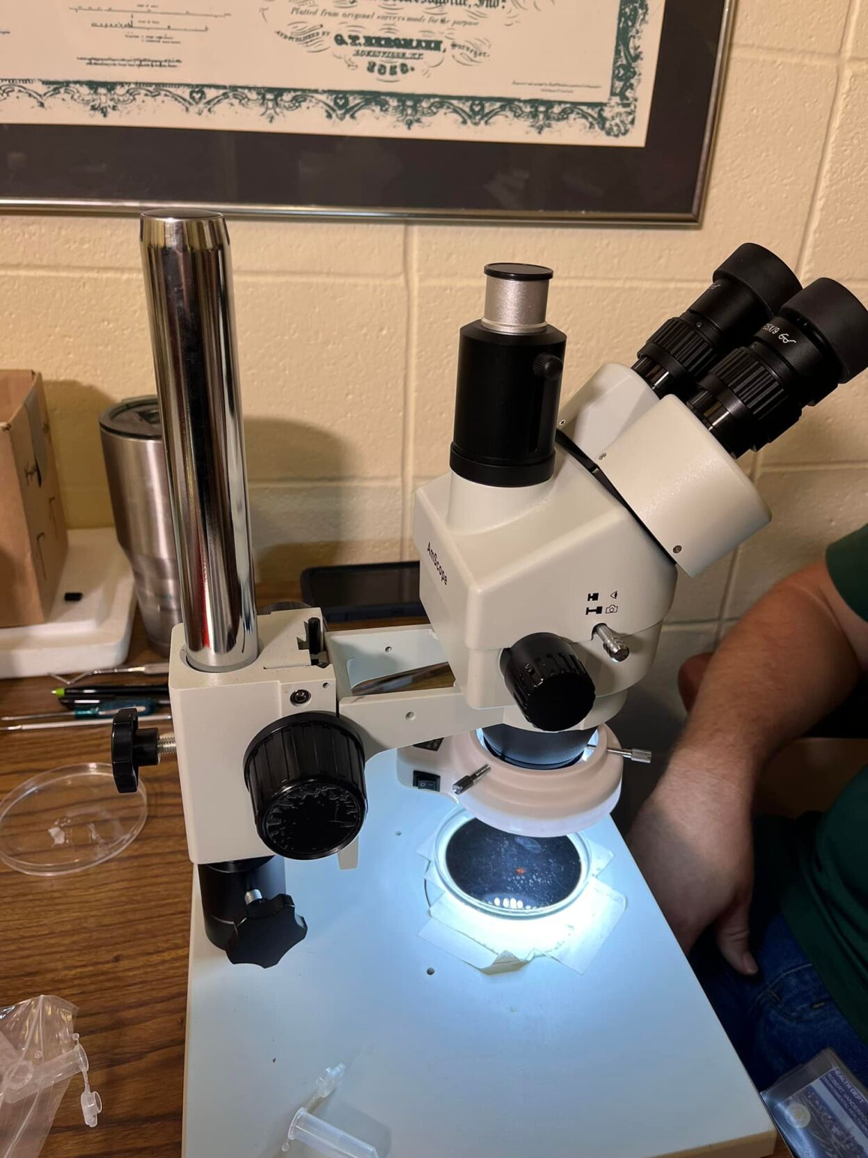 TICK LAB - LOUISVILLE HEALTH DEPT - 7-12-2022 4.jpg