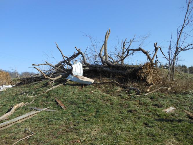HENRYVILLE TORNADO DAMAGE MARCH 2012 (65).JPG