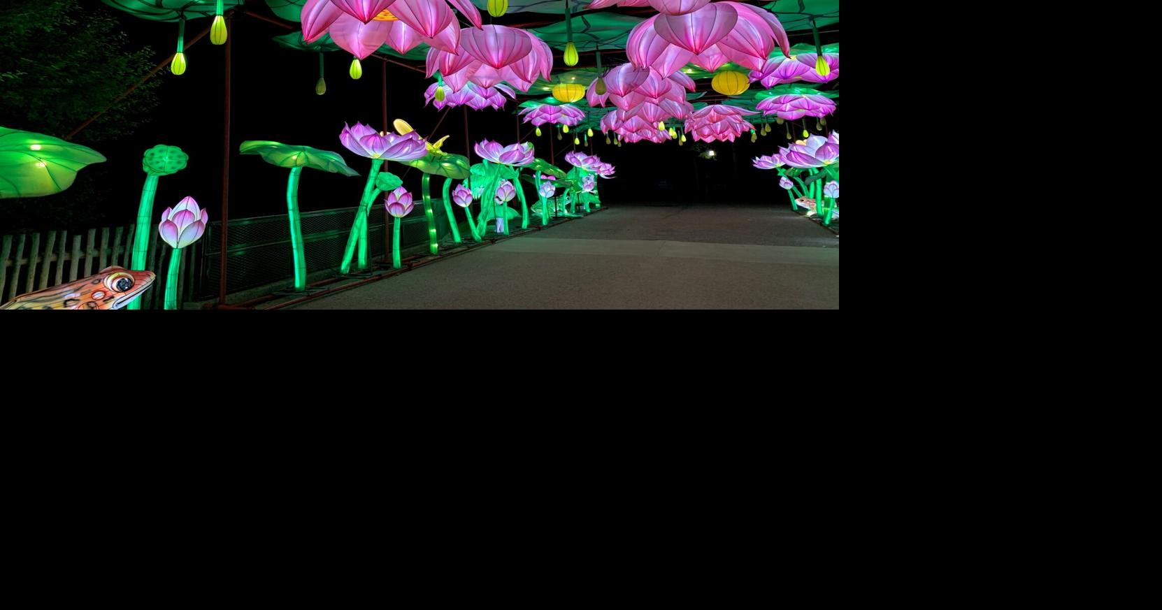 The Wild Lights attraction puts the Louisville Zoo in a whole new light Morning