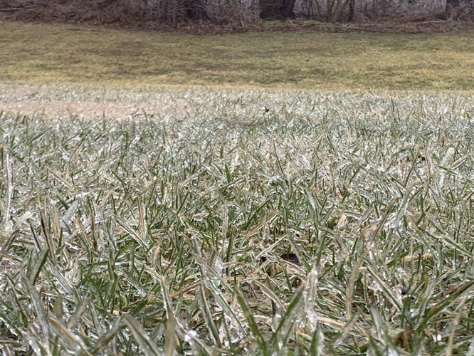 ICE STORM 2-3-2022 - GREENVILE INDIANA 1 .jpg