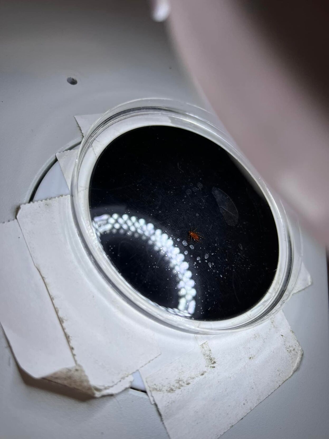 TICK LAB - LOUISVILLE HEALTH DEPT - 7-12-2022 5.jpg