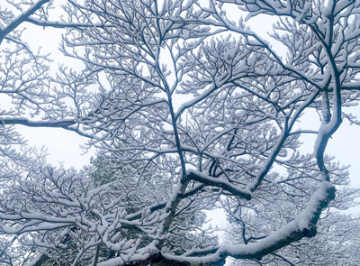 Winter Weather Awareness Week is coming up!