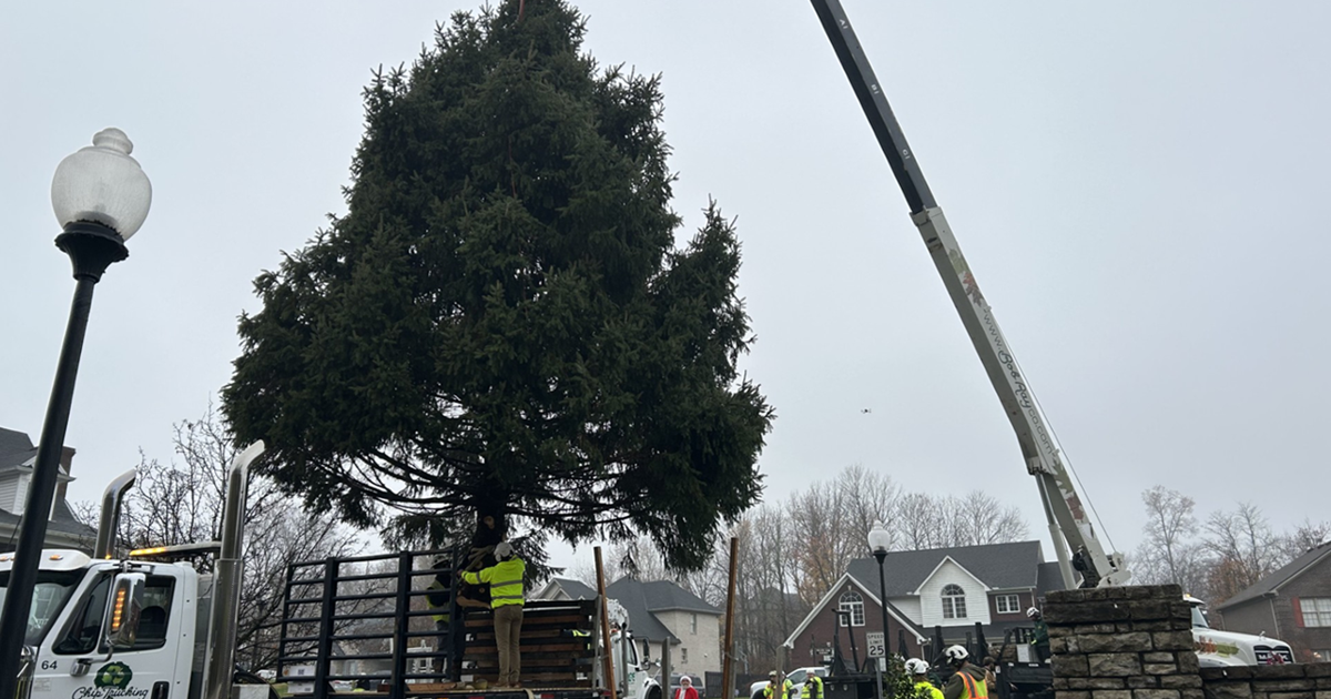 Wdrb Exploding Tree Crews move 2025 Light Up Louisville Christmas Tree | | wdrb.com