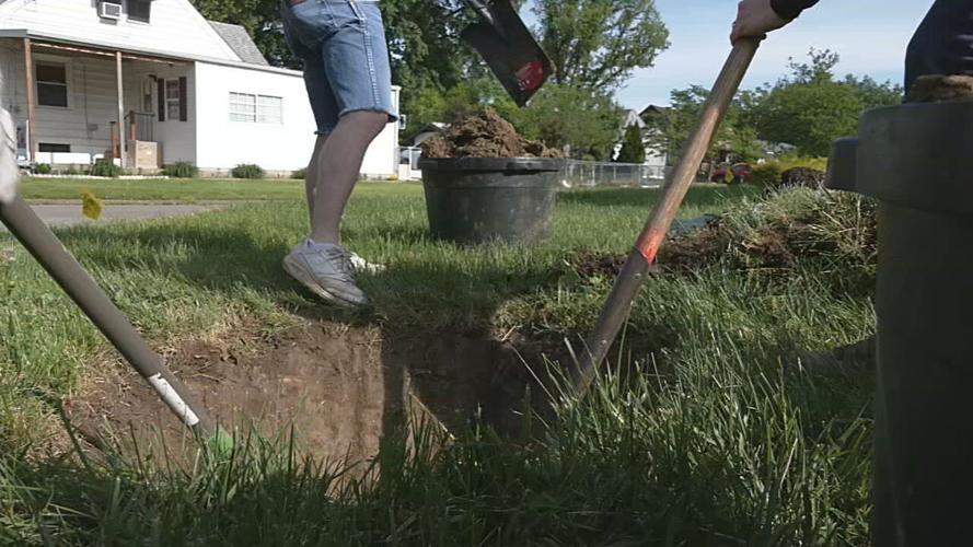 Tree being planted in south Louisville.jpeg