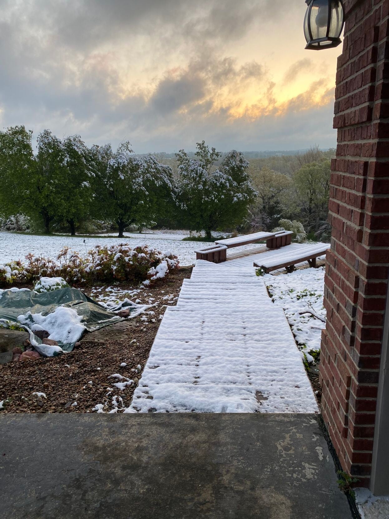 Snow in Leitchfield.jpg