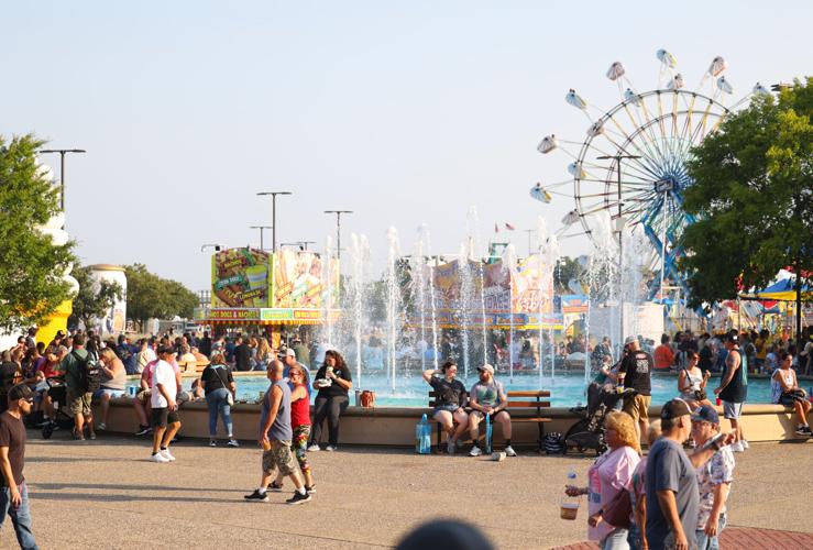 Ferris wheel in background of State Fair.JPG