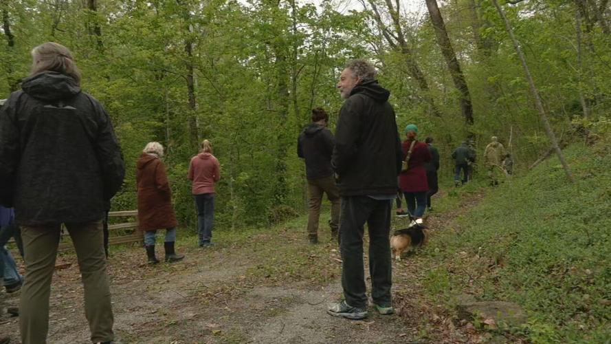 RIVER FIELDS WILDFLOWER WALK