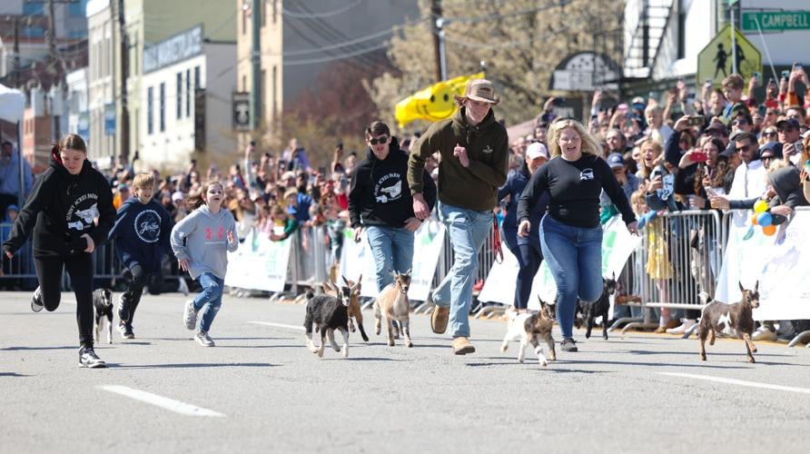 People lead goats during the race.JPG