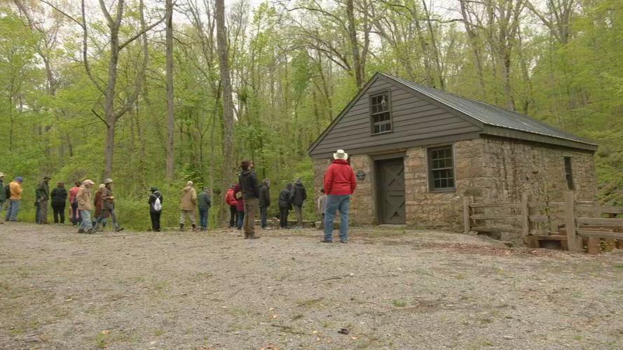 RIVER FIELDS WILDFLOWER WALK