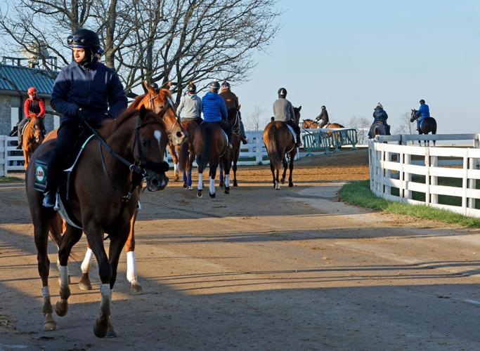Scenics, 2022 Keeneland Spring Meet
