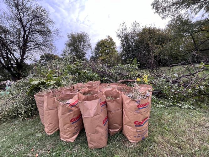 Schardein Cemetery cleanup 4.jpg