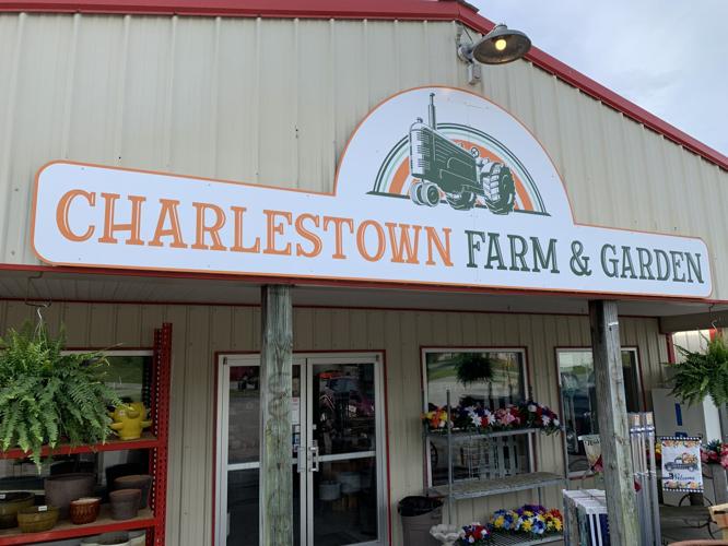 CHARLESTOWN FARM AND GARDEN - PLANTS FLOWERS SPRING PLANTING KK - 5-6-2021  (8).JPG