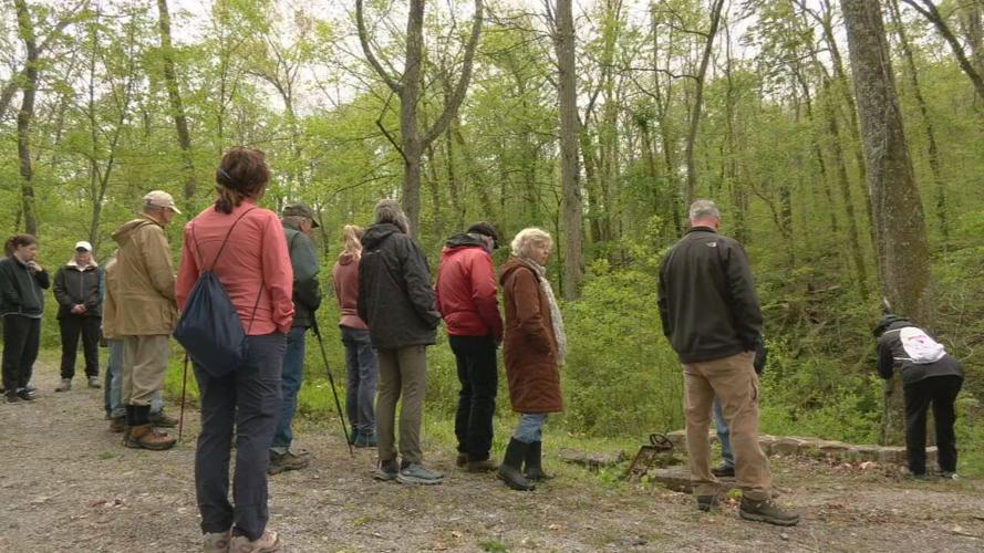 RIVER FIELDS WILDFLOWER WALK
