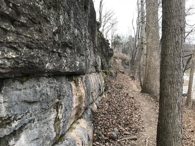 Trail near Cherokee Park