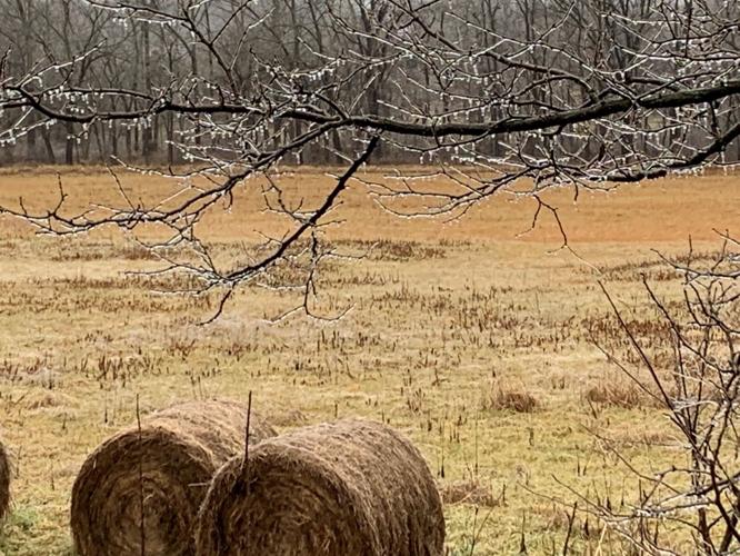 ICE STORM 2-3-2022 - GREENVILE INDIANA NEAR 150 1.jpg