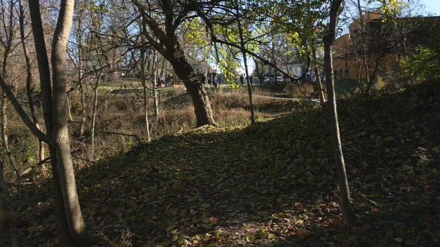 clifton heights natural area.jpeg